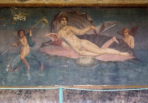 Venus in Shell, Fresco from Peristylium in House of Venus in the Shell, Pompeii (UNESCO World Heritage List)