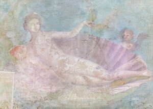 Venus on Shell by Roman Roman