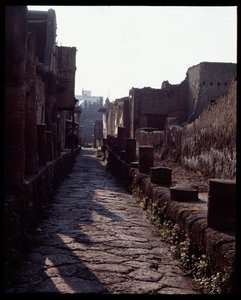 View of a Street by Roman Roman