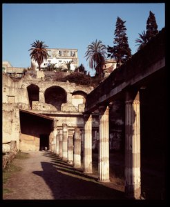 View of the Palestra by Roman Roman