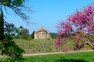 Romanesque Chapel Saint-Etienne de Vaissiere in Azille (photograph)