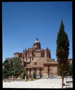 View of the Cathedral
