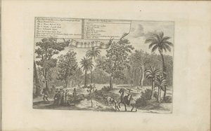 Trees and Spices by Romeyn de Hooghe