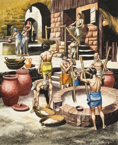 Life in the Indus Valley Between 2500 BC and 1600 BC by Ron Embleton