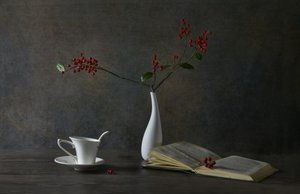 Cozy Reading Still Life by Rong Wei