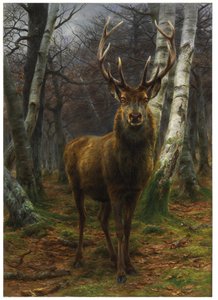 King of the Forest, 1878