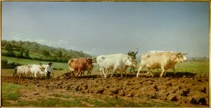 The Plowing Nivernais, the Sombrage by Rosa Bonheur