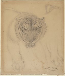 Tiger, with Sketch of Paw, verso: Sketch of Tiger