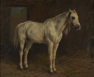 White Horse by Rosa Bonheur