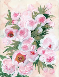 Blushing Peony Blooms by Rosana Laiz Blursbyai