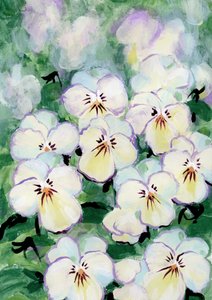 Delicate Pansy Blooms by Rosana Laiz Blursbyai