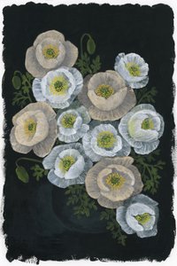 Elegant Poppy Blooms by Rosana Laiz Blursbyai