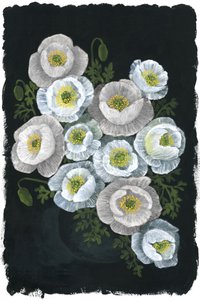 Elegant White Poppies by Rosana Laiz Blursbyai