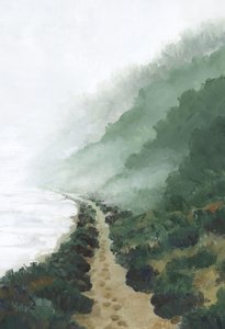 Misty Coastal Path