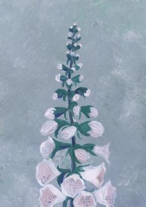 White Foxglove Bloom by Rosana Laiz Blursbyai