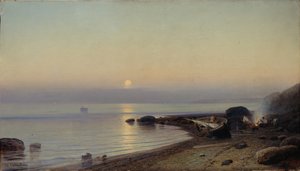 On the Seashore