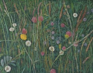 Plants of the Machair, 2008 by Ruth Addinall