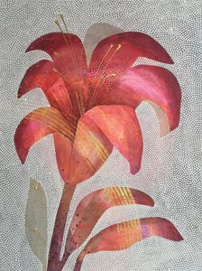 Vibrant Red Lily by SAN STARLING