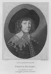 Prince Rupert by S. (after) Harding