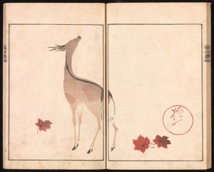 Ōson (Hōitsu) Picture Album (Ōson gafu) by Sakai Hoitsu