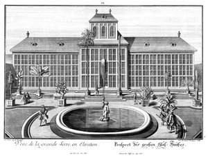 View of the Great Greenhouse by Salomon Kleiner