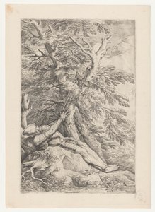 Saint William of Maleval by Salvator Rosa