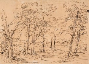 Landscape with Trees and Mountains in the Background by Salvator Rosa