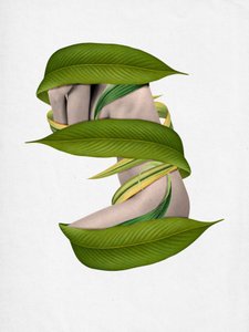 Body Wrapped in Nature