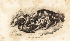 Death of the Fox