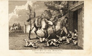 Huntsman opening the kennel door to let out the hounds before going hare hunting