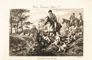 Mounted huntsmen watching as hounds find a hare