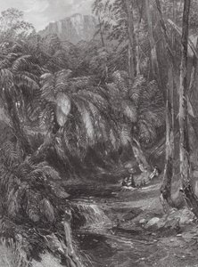 Australia: A Fern Tree Valley by Samuel (after) Prout