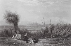 Australia: Grass Tree Plains by Samuel (after) Prout
