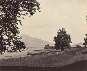 Kashmir Scene