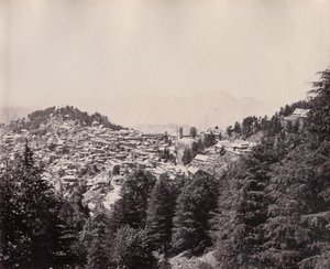 Shimla