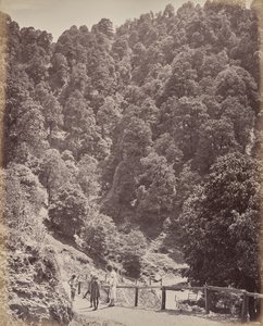 Shimla. View North of Mount Jakko by Samuel Bourne