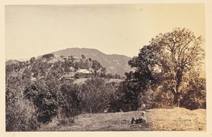 Simla; Peterhof by Samuel Bourne
