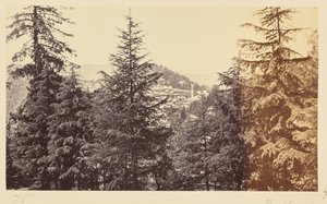 Simla; The Church through the Trees, from Jakko by Samuel Bourne