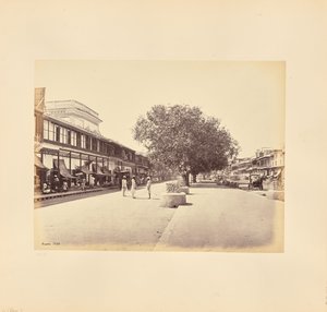 The Chandni-Chouk, Principal Street in Delhi by Samuel Bourne