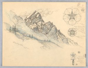 Antelao, From Cortina, with Studies of Flowers