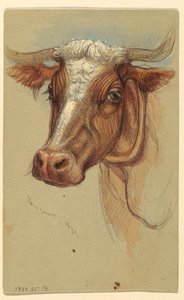 Sketches from Narragansett, Rhode Island, 1871