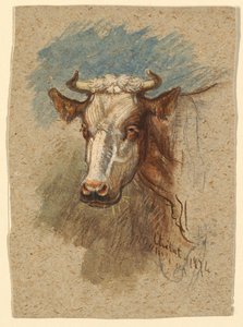 Head of a Cow, Étretat by Samuel Colman