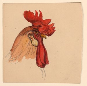 Head of a Rooster