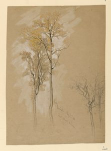Oaks, Lady Wood Lane, Irvington by Samuel Colman