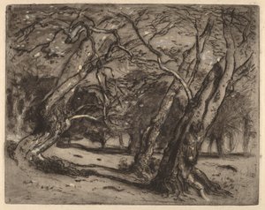 Untitled (Wooded Landscape)