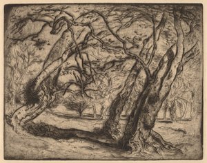 Untitled (Wooded Landscape) by Samuel Colman