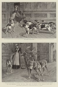 You are requested to keep the Hall Doors shut on Account of the Animals in the Park