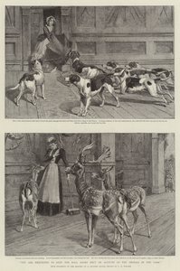 You are requested to keep the Hall Doors shut on Account of the Animals in the Park