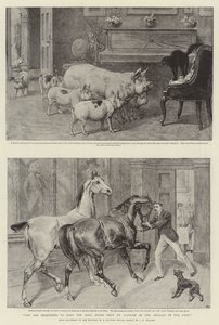 You Are Requested to Keep the Hall Doors Shut on Account of the Animals in the Park by Samuel Edmund Waller