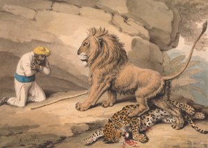 A Lion Standing over a Wounded Leopard